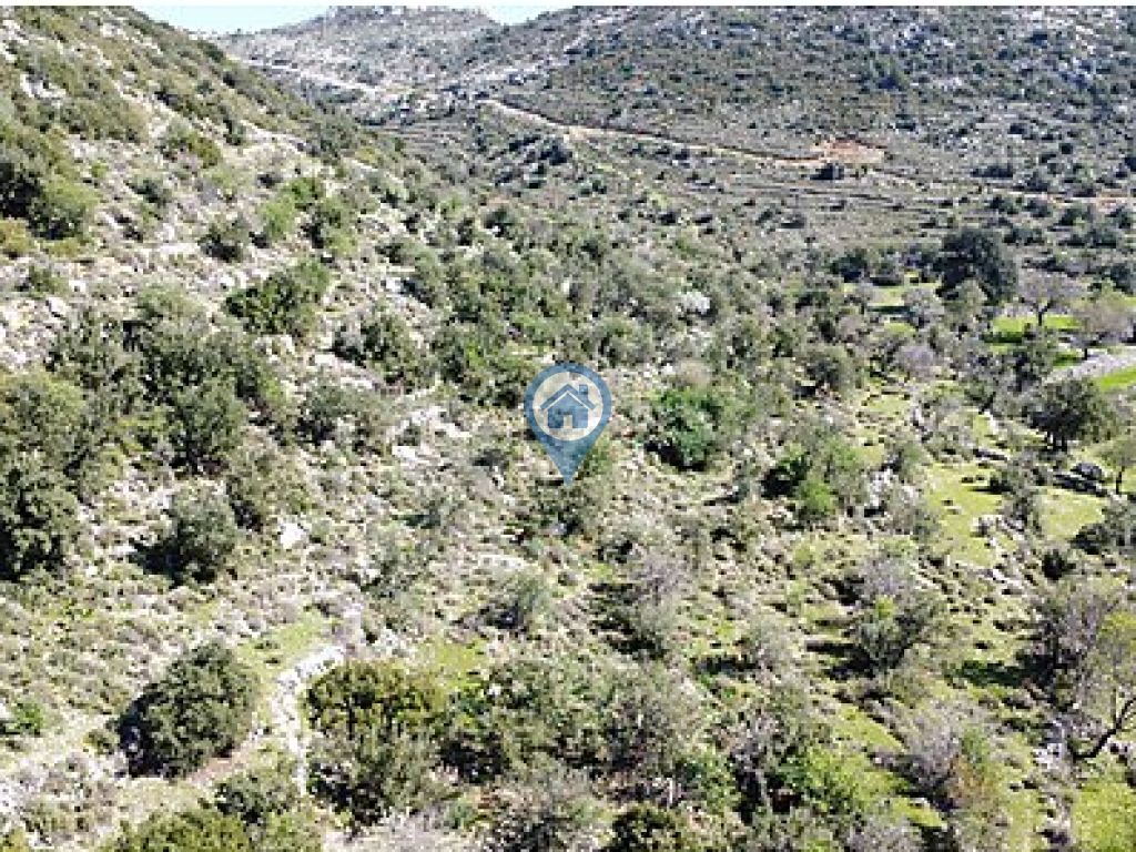 SÖĞÜT KÖYÜNDE SATILIK YATIRM AMAÇLI TARLA