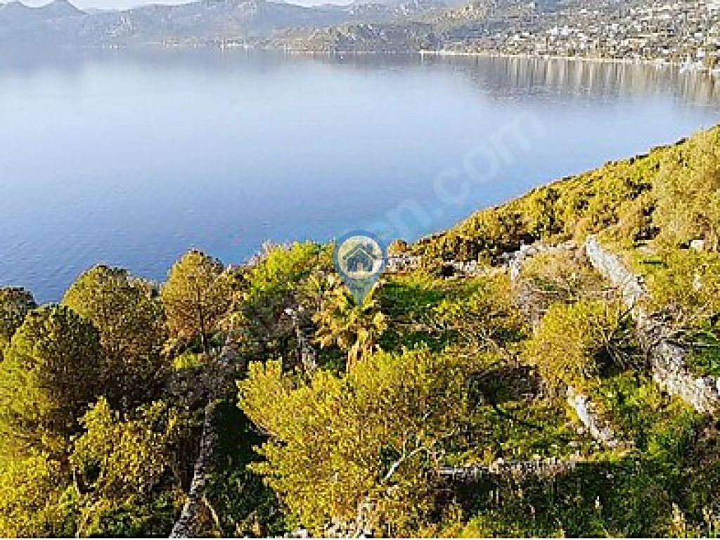 SÖĞÜT KÖYÜNDE FULL DENİZ MANZARALI TARLA