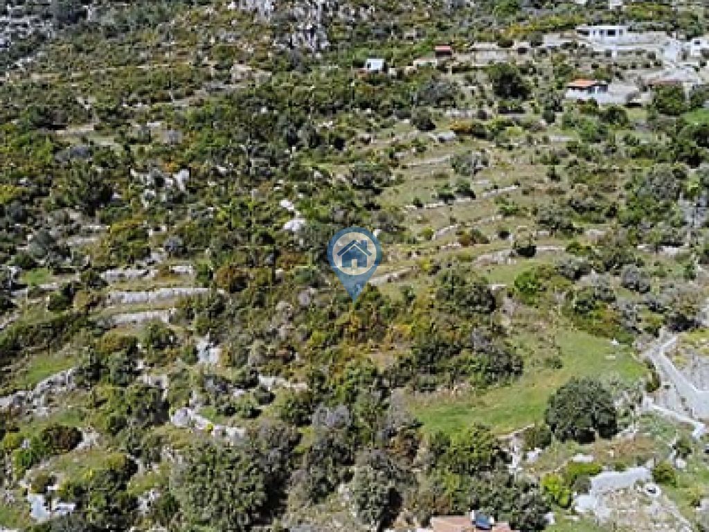 SÖĞÜT CUMHURIYET MAH FULL DENIZ MANZARALI SATILIK 6.5DÖNÜM TARLA