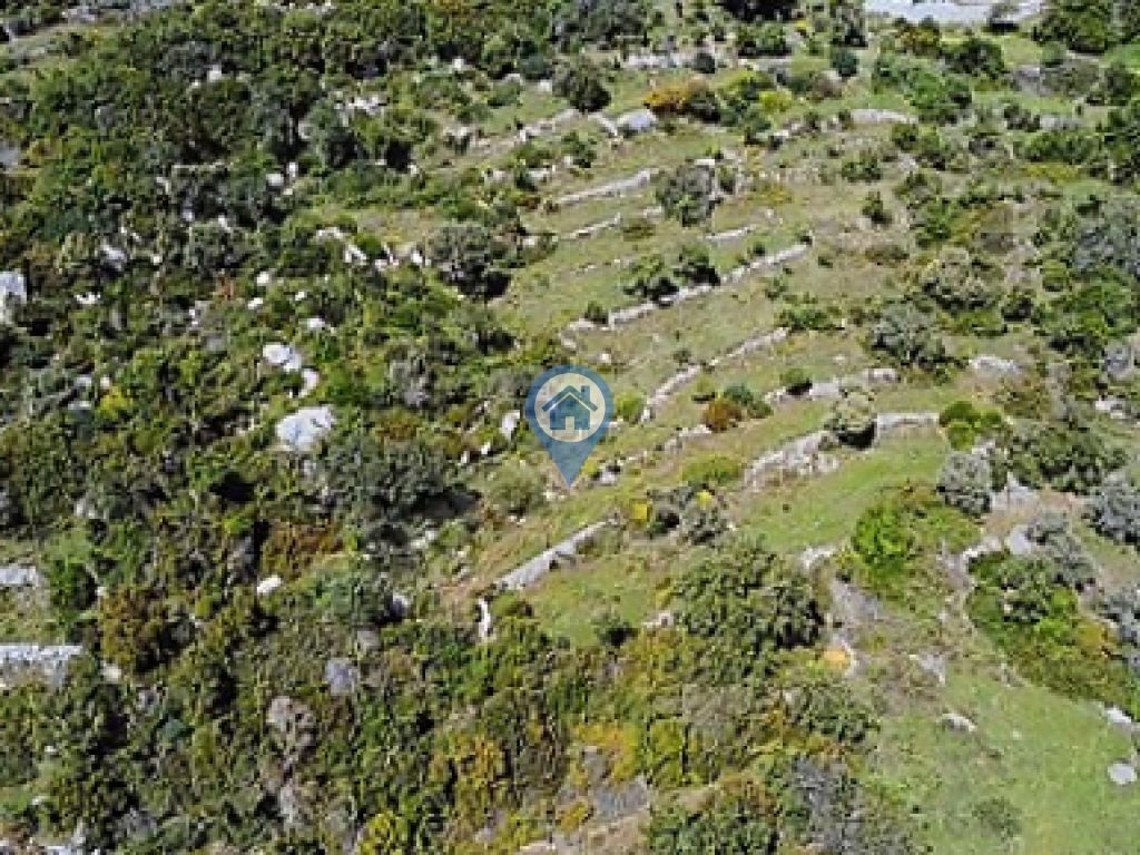 SÖĞÜT CUMHURIYET MAH FULL DENIZ MANZARALI SATILIK 6.5DÖNÜM TARLA