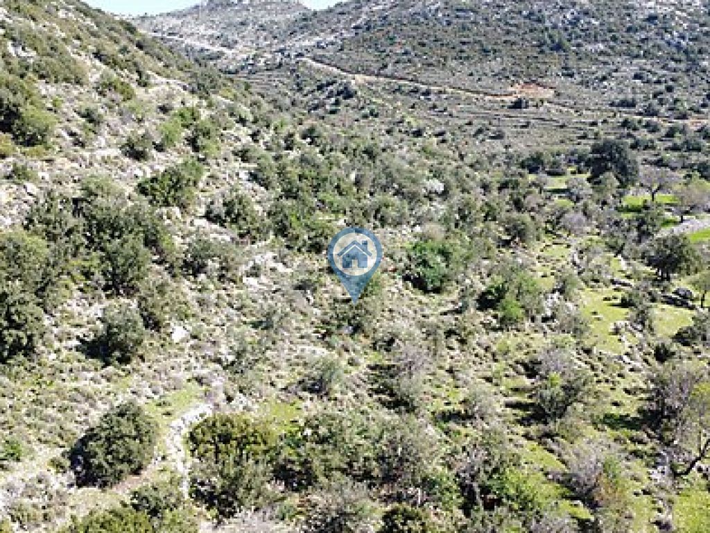 SÖĞÜT KÖYÜNDE SATILIK YATIRM AMAÇLI TARLA