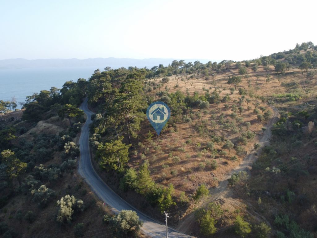 SU GAYRIMENKUL MENTEŞE KIRAN FULL DENIZ MANZARALI SATILIK TARLA