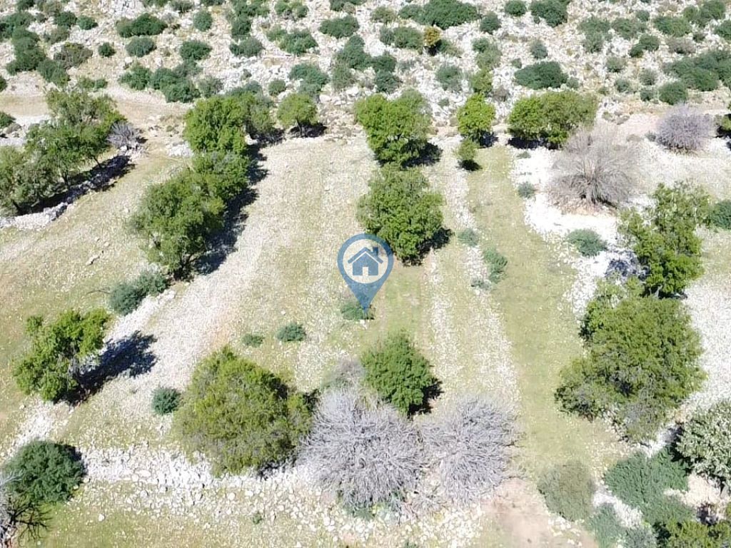 MARMARİS TAŞLICA KÖYÜNDE SATILIK TARLA