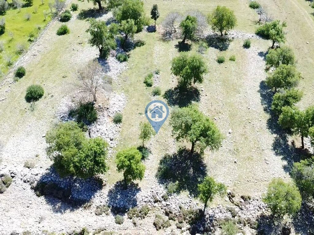 MARMARİS TAŞLICA KÖYÜNDE SATILIK TARLA