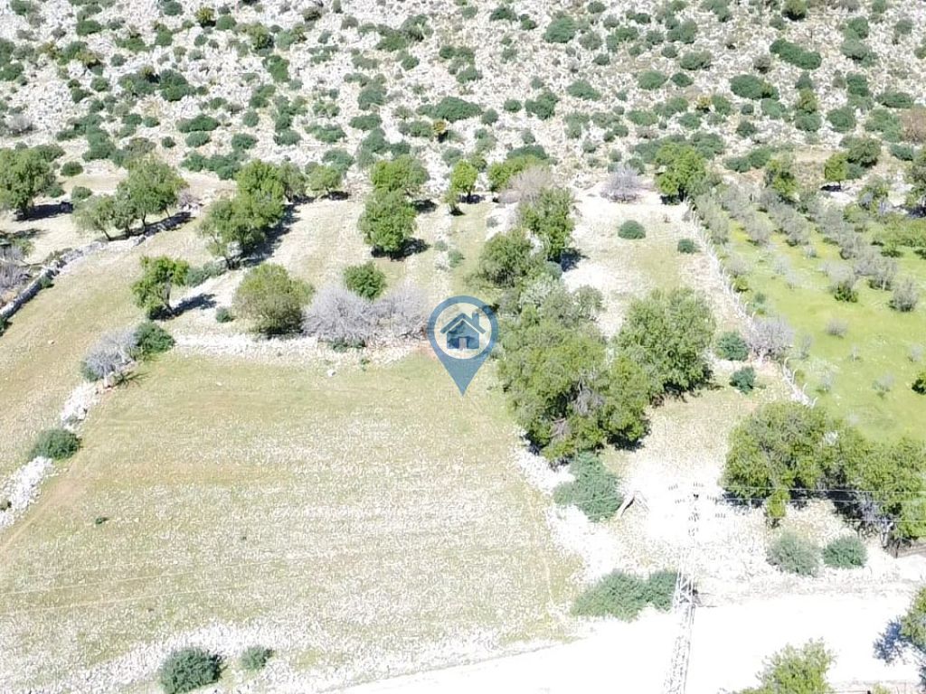 MARMARİS TAŞLICA KÖYÜNDE SATILIK TARLA