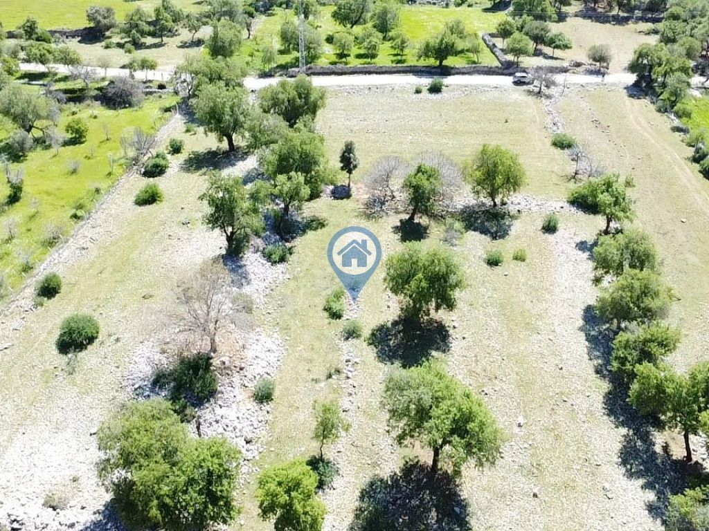 MARMARİS TAŞLICA KÖYÜNDE SATILIK TARLA