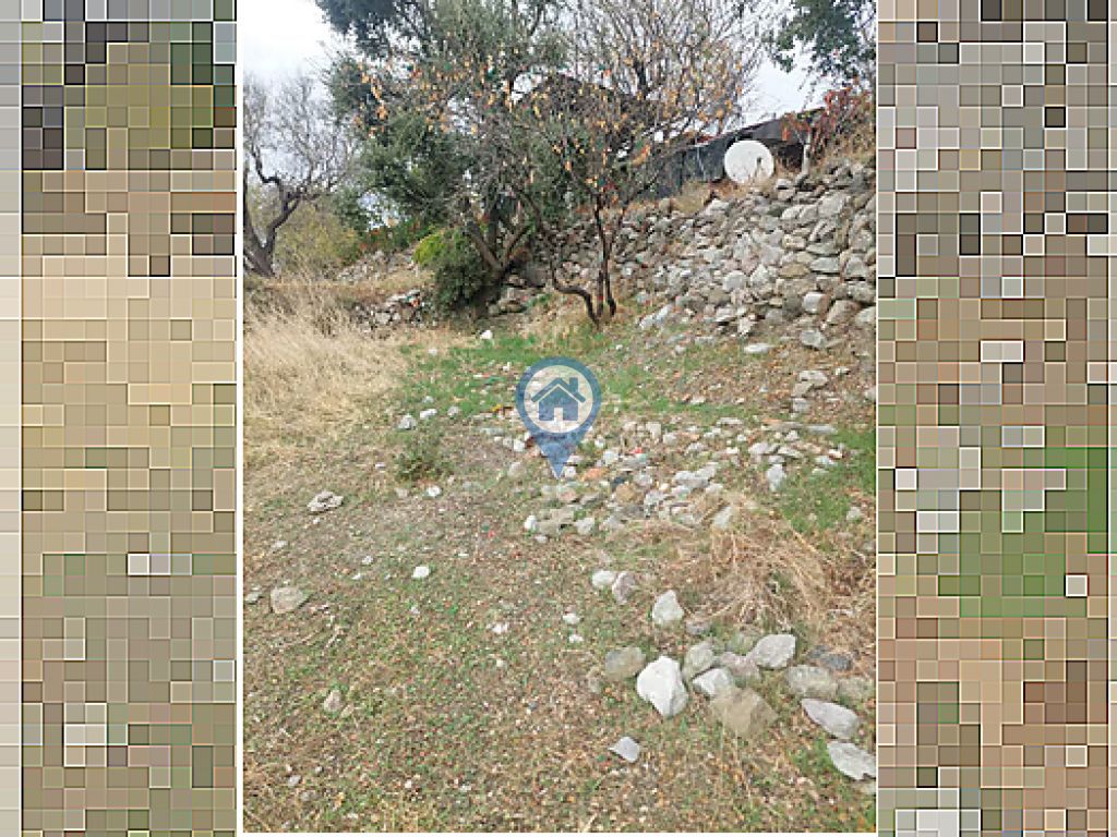 SÖĞÜT KÖYÜNDE SATILIK TARLA