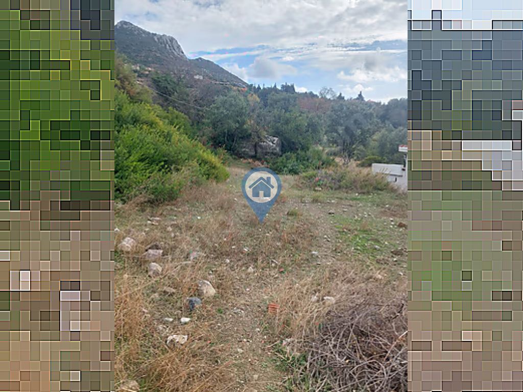 SÖĞÜT KÖYÜNDE SATILIK TARLA