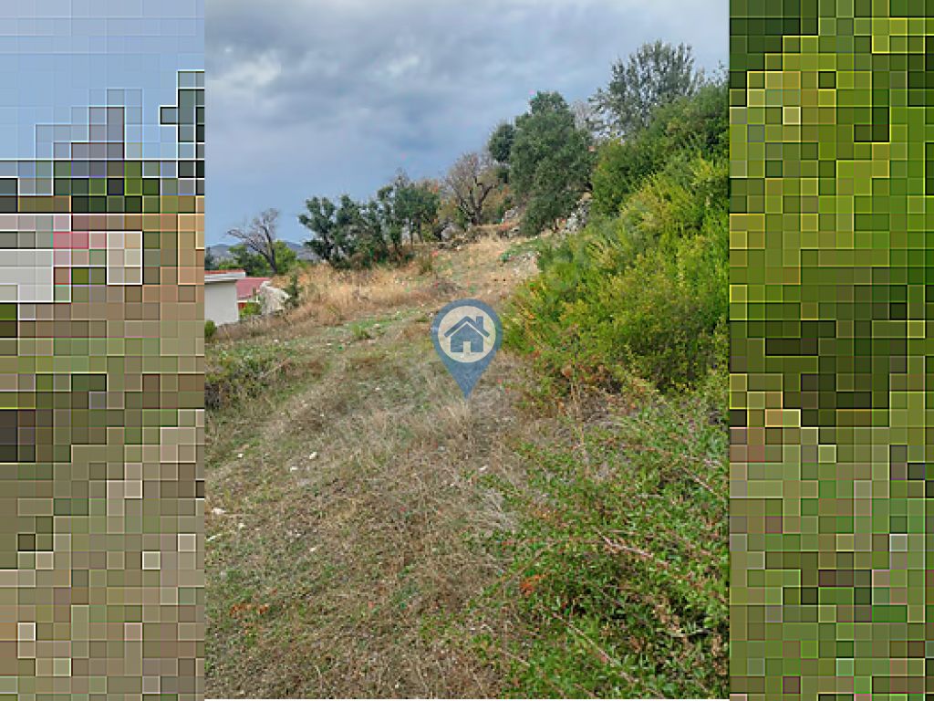 SÖĞÜT KÖYÜNDE SATILIK TARLA