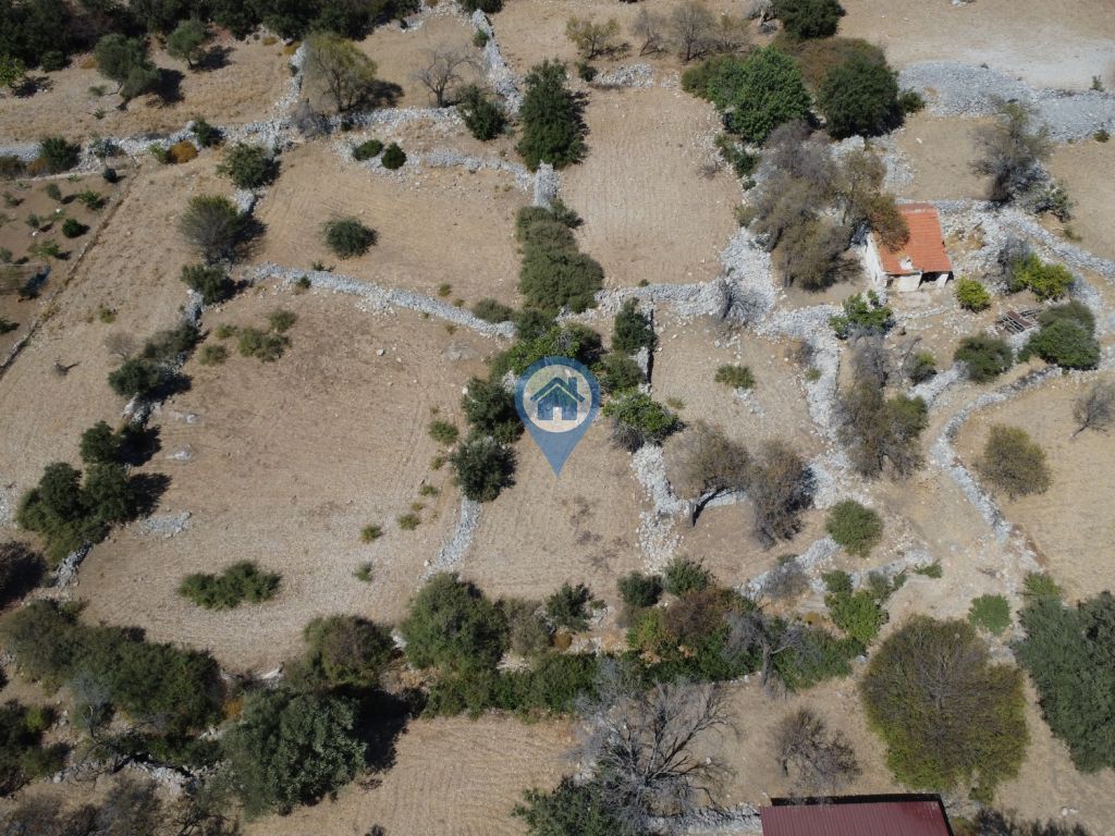 SÖĞÜTTE TOPRAĞIM OLSUN DIYORSANIZ SATILIK 375 M2 TARLA