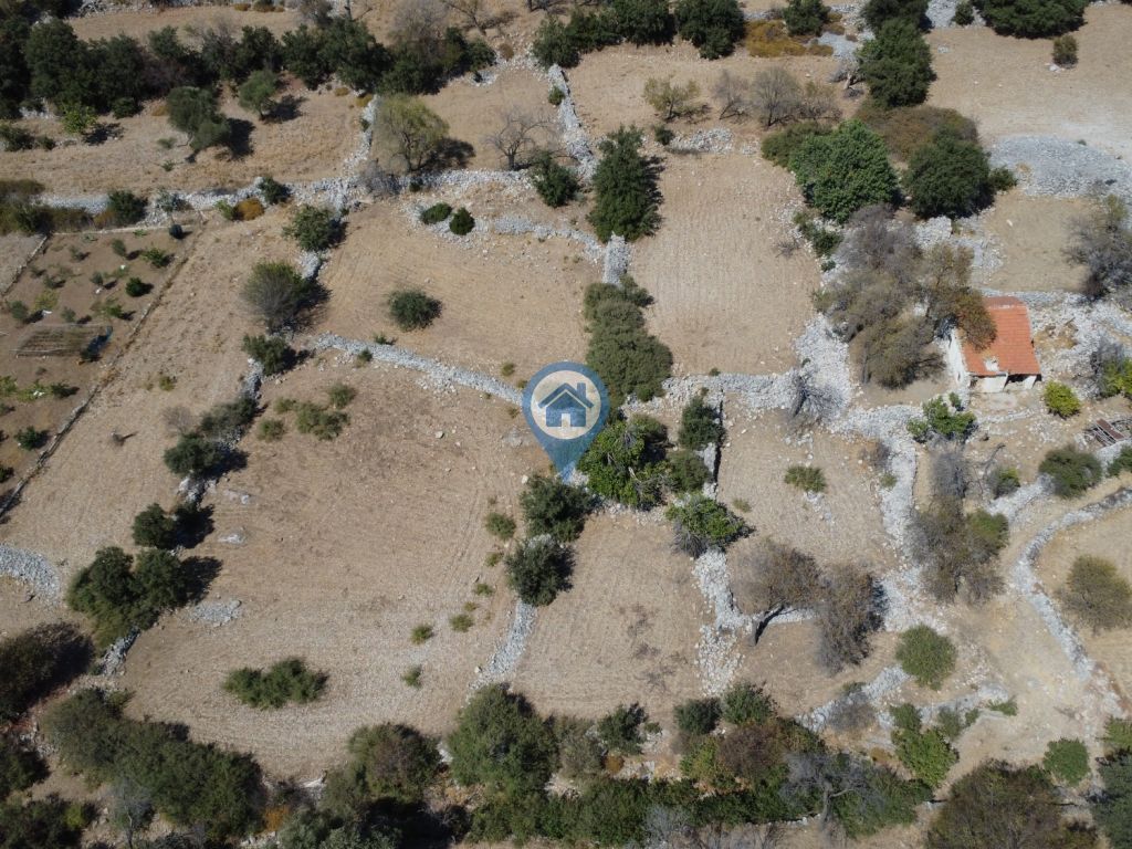 SÖĞÜTTE TOPRAĞIM OLSUN DIYORSANIZ SATILIK 375 M2 TARLA