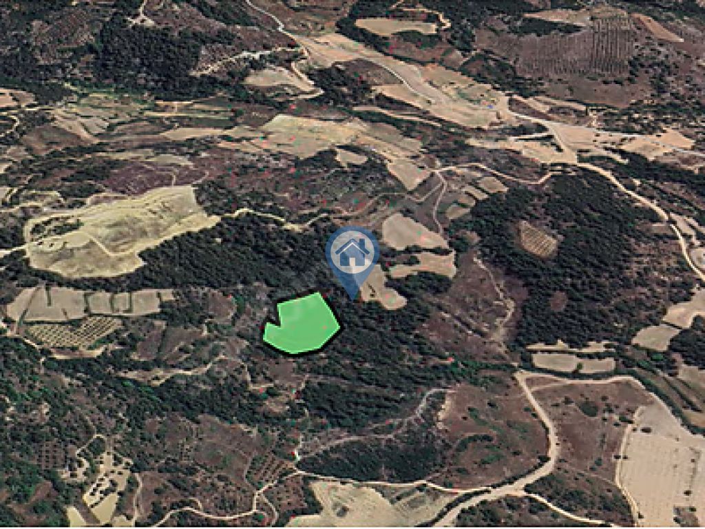 MUĞLA MENTEŞE ALGIDA SATILIK 7 DÖNÜM YATIRIMLIK TARLA