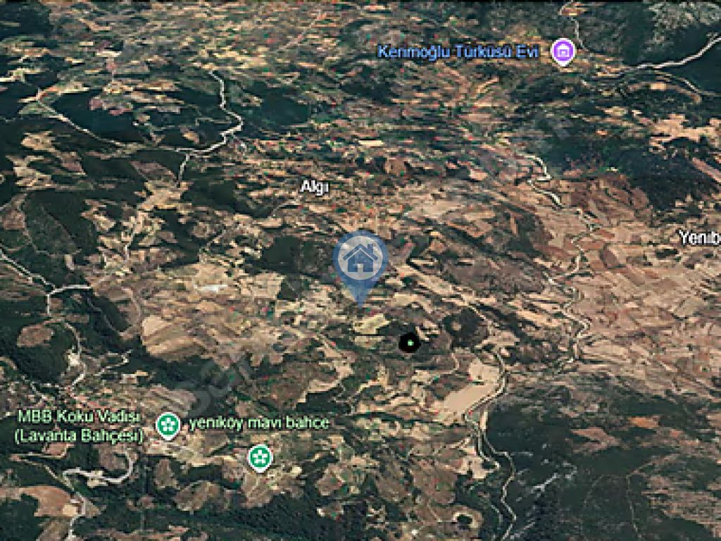 MUĞLA MENTEŞE ALGIDA SATILIK 7 DÖNÜM YATIRIMLIK TARLA