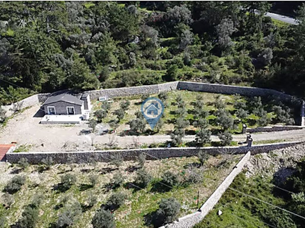 MARMARIS TURGUTTA SATILIK 5 DÖNÜM ZEYTINLIK VE MÜSTAKIL EV