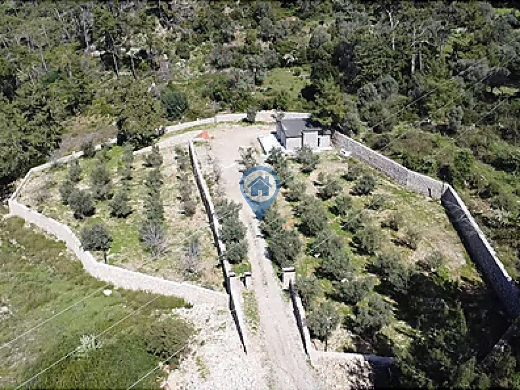 MARMARIS TURGUTTA SATILIK 5 DÖNÜM ZEYTINLIK VE MÜSTAKIL EV