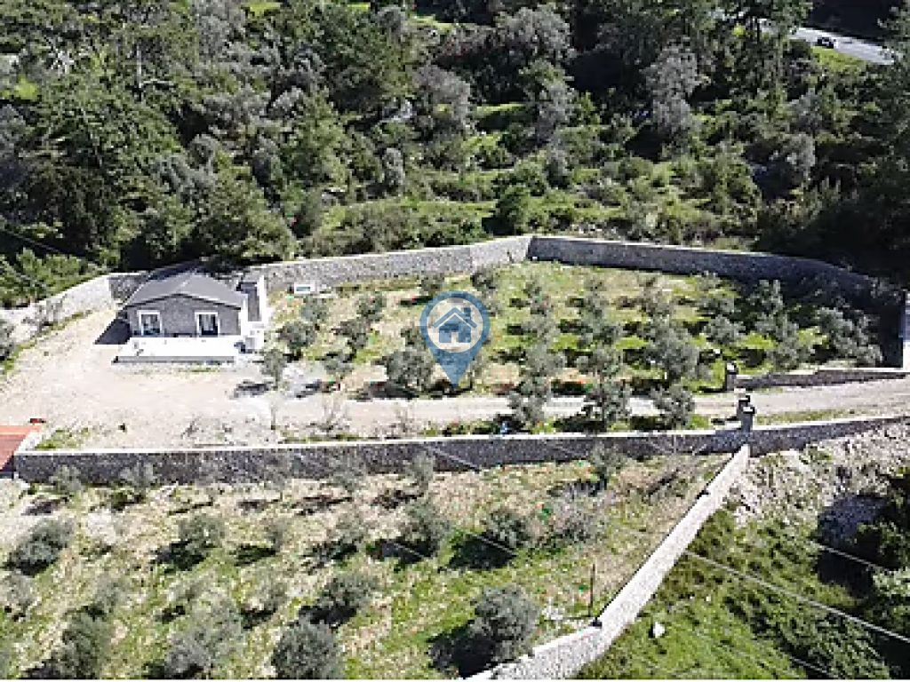 MARMARIS TURGUTTA SATILIK 5 DÖNÜM ZEYTINLIK VE MÜSTAKIL EV