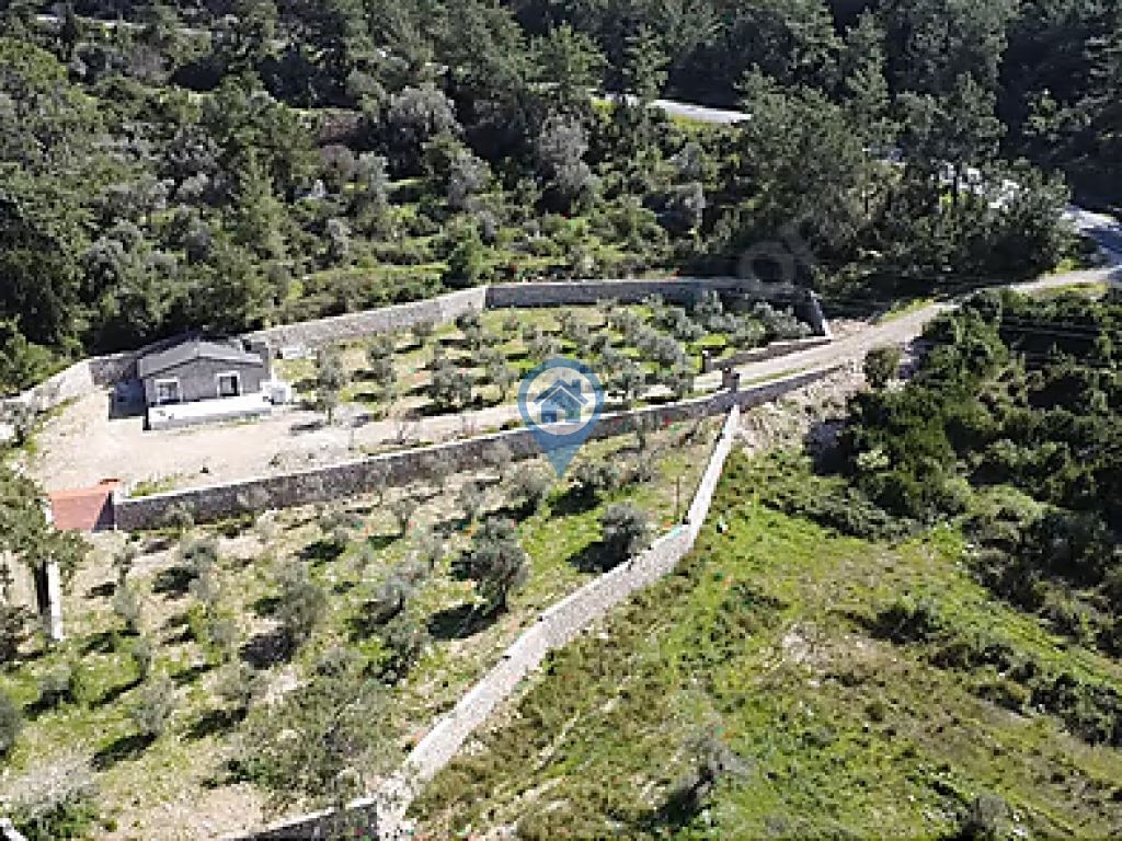 MARMARIS TURGUTTA SATILIK 5 DÖNÜM ZEYTINLIK VE MÜSTAKIL EV