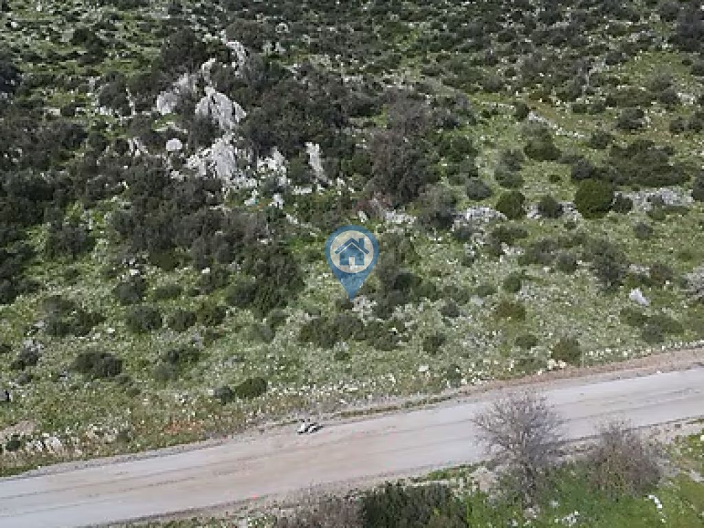 BAYIR KÖYÜNDE YOLA CEPHELI SATILIK 1.195 M2 TARLA