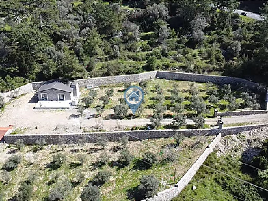 MARMARIS TURGUTTA SATILIK 5 DÖNÜM ZEYTINLIK VE MÜSTAKIL EV
