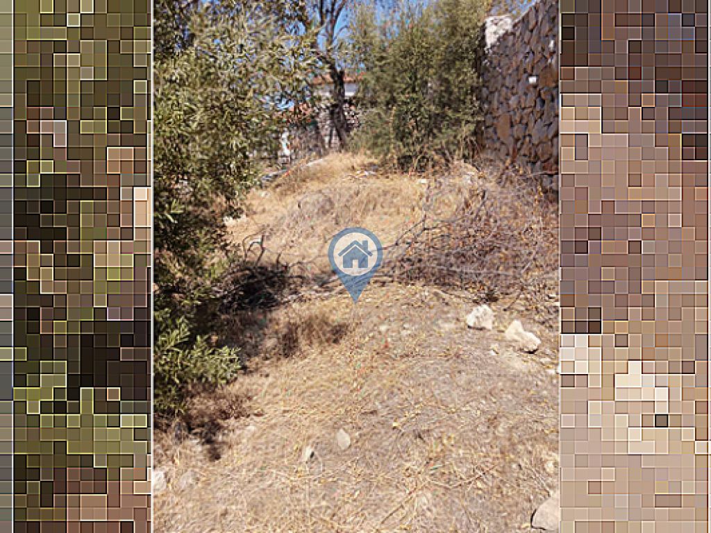 MARMARİS SÖĞÜTTE DENİZE 2 KM MESAFEDE 266 M² MÜSTAKİL TARLA