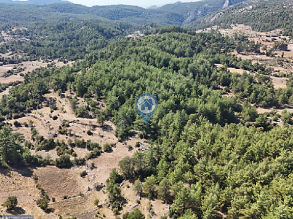 MUĞLA MENTEŞE DENİZOVADA SATILIK 1.650 M² TARLA