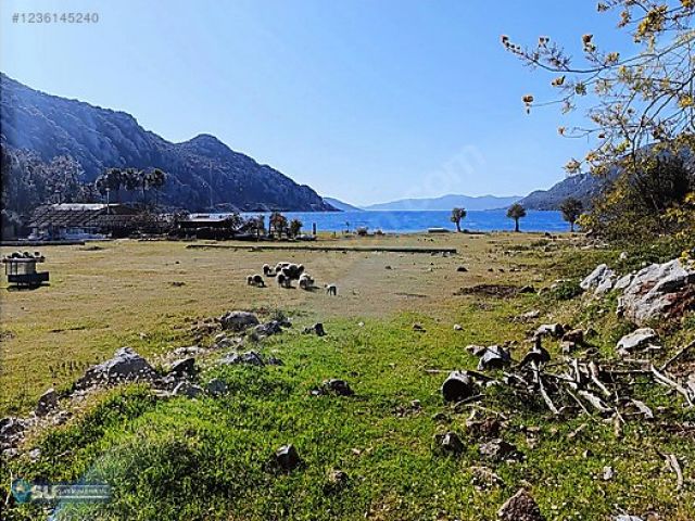 İlan Resmi