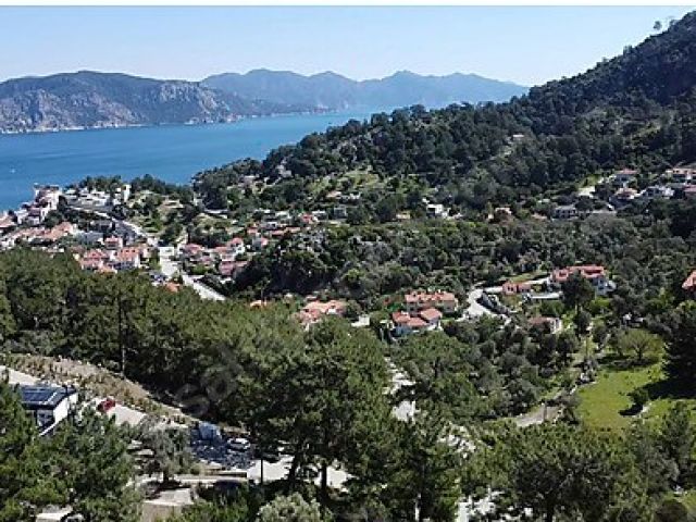 İlan Resmi