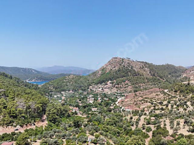 İlan Resmi